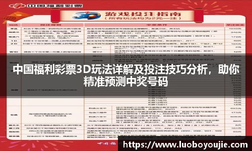 中国福利彩票3D玩法详解及投注技巧分析，助你精准预测中奖号码